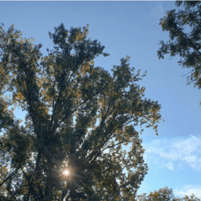 #1 – Arrivée en terre&nbsp;inconnue