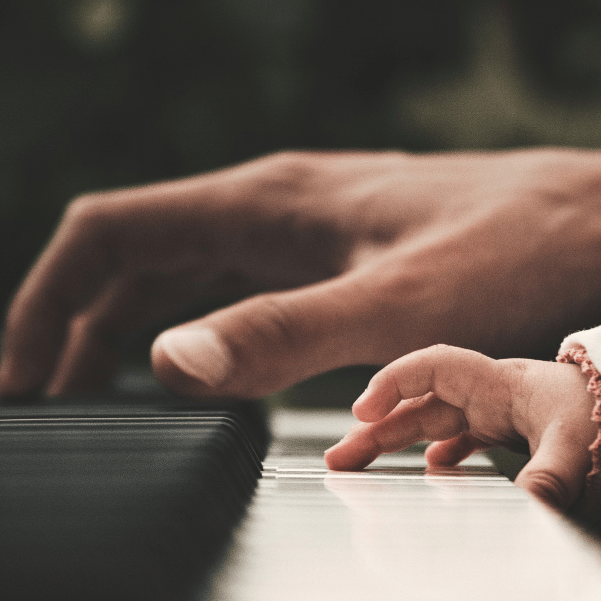 la musique pour adoucir les&nbsp;mœurs