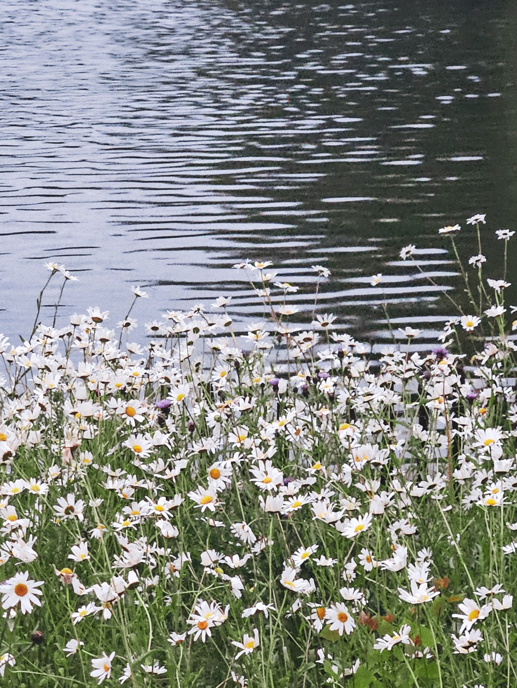 s&rsquo;émerveiller